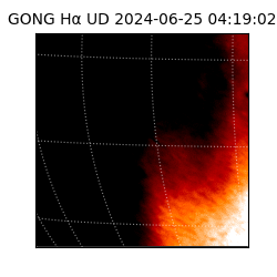 gong - 2024-06-25T04:19:02