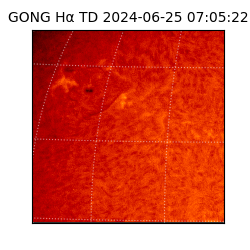 gong - 2024-06-25T07:05:22