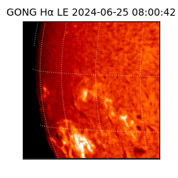 gong - 2024-06-25T08:00:42