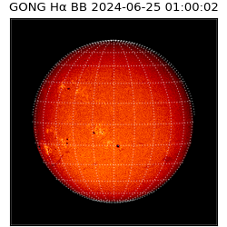 gong - 2024-06-25T01:00:02