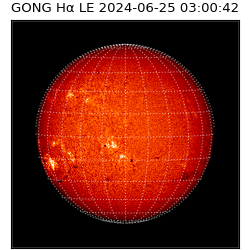 gong - 2024-06-25T03:00:42
