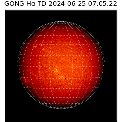 gong - 2024-06-25T07:05:22