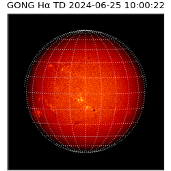 gong - 2024-06-25T10:00:22