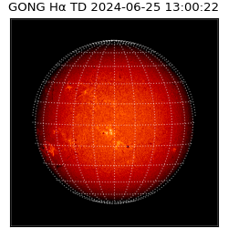 gong - 2024-06-25T13:00:22