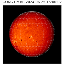 gong - 2024-06-25T15:00:02