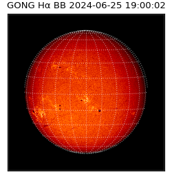 gong - 2024-06-25T19:00:02