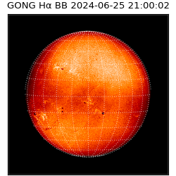 gong - 2024-06-25T21:00:02