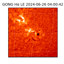 gong - 2024-06-26T04:00:42