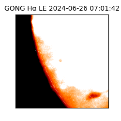 gong - 2024-06-26T07:01:42
