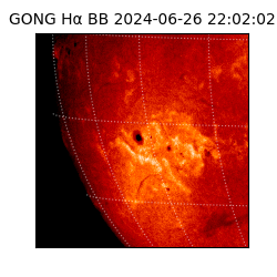 gong - 2024-06-26T22:02:02