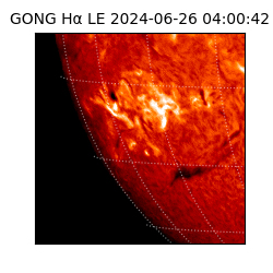gong - 2024-06-26T04:00:42