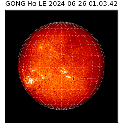 gong - 2024-06-26T01:03:42