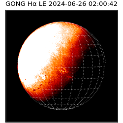 gong - 2024-06-26T02:00:42