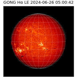 gong - 2024-06-26T05:00:42