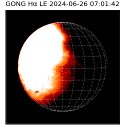 gong - 2024-06-26T07:01:42