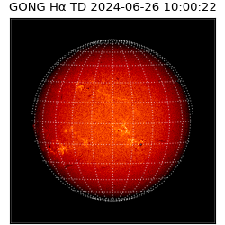 gong - 2024-06-26T10:00:22