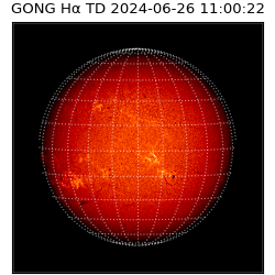 gong - 2024-06-26T11:00:22