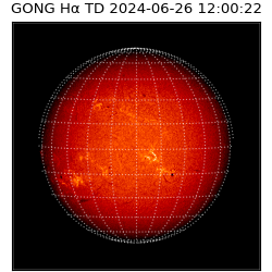 gong - 2024-06-26T12:00:22