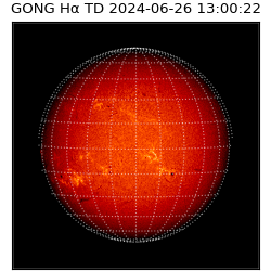 gong - 2024-06-26T13:00:22