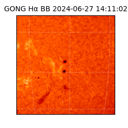 gong - 2024-06-27T14:11:02