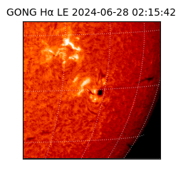 gong - 2024-06-28T02:15:42