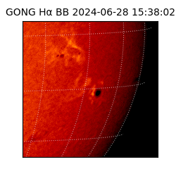 gong - 2024-06-28T15:38:02