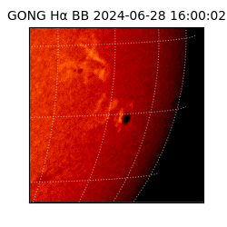 gong - 2024-06-28T16:00:02