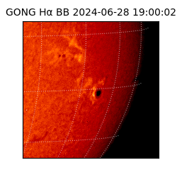 gong - 2024-06-28T19:00:02
