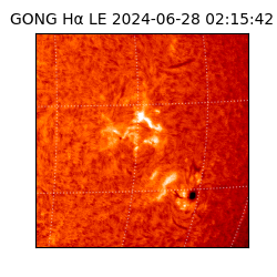 gong - 2024-06-28T02:15:42