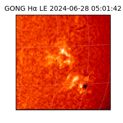 gong - 2024-06-28T05:01:42