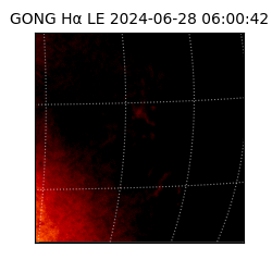 gong - 2024-06-28T06:00:42