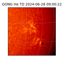 gong - 2024-06-28T09:00:22