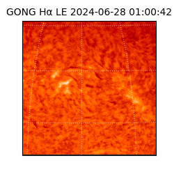 gong - 2024-06-28T01:00:42