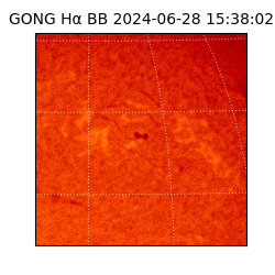 gong - 2024-06-28T15:38:02