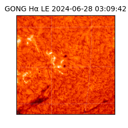 gong - 2024-06-28T03:09:42