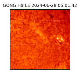 gong - 2024-06-28T05:01:42