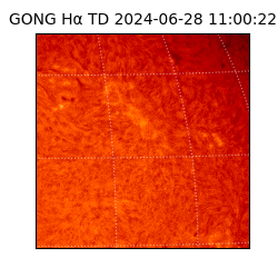 gong - 2024-06-28T11:00:22