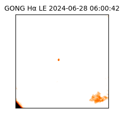 gong - 2024-06-28T06:00:42