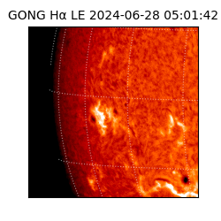 gong - 2024-06-28T05:01:42