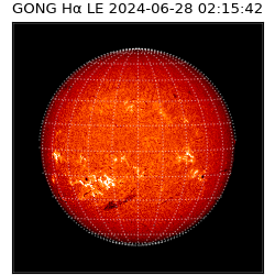 gong - 2024-06-28T02:15:42