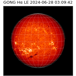 gong - 2024-06-28T03:09:42