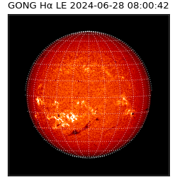 gong - 2024-06-28T08:00:42