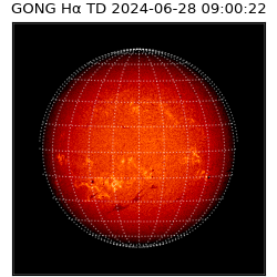 gong - 2024-06-28T09:00:22