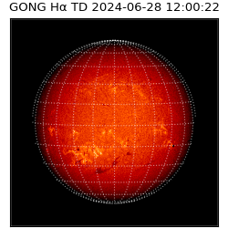 gong - 2024-06-28T12:00:22