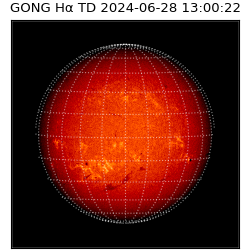 gong - 2024-06-28T13:00:22