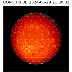 gong - 2024-06-28T21:00:02