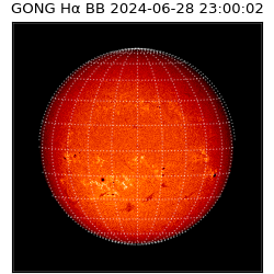 gong - 2024-06-28T23:00:02