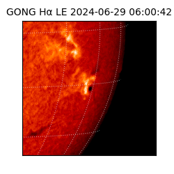 gong - 2024-06-29T06:00:42