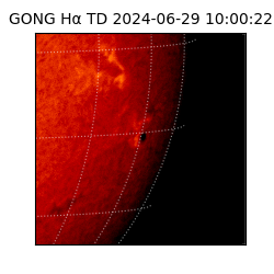 gong - 2024-06-29T10:00:22