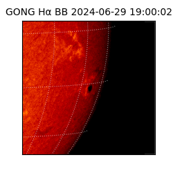 gong - 2024-06-29T19:00:02